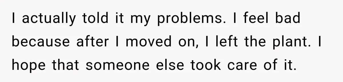 I actually told it my problems. I feel bad because after I moved on, I left the plant. I hope that someone else took care of it.