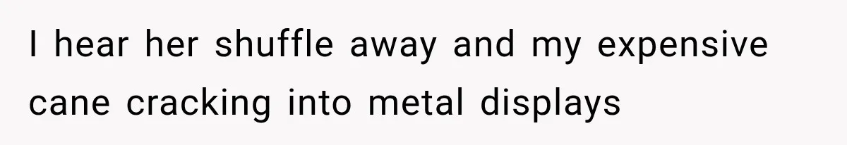 I hear her shuffle away and my expensive cane cracking into metal displays