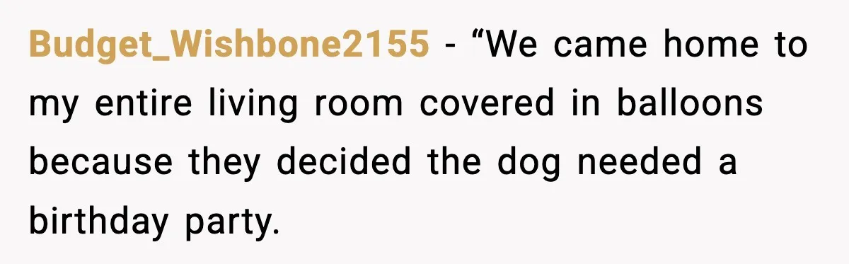 Budget_Wishbone2155 − “We came home to my entire living room covered in balloons because they decided the dog needed a birthday party.