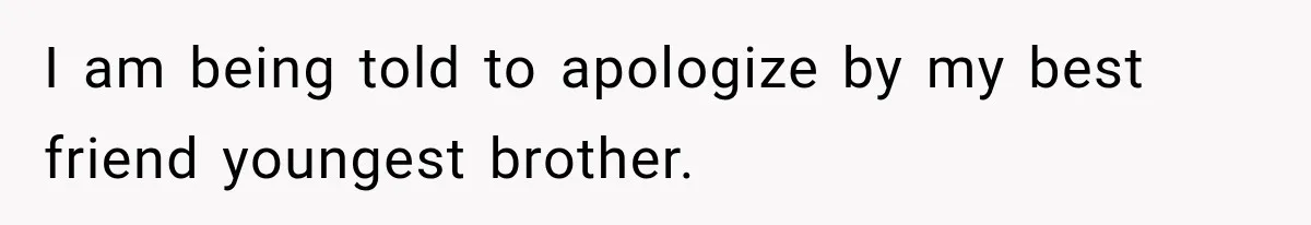 I am being told to apologize by my best friend youngest brother.