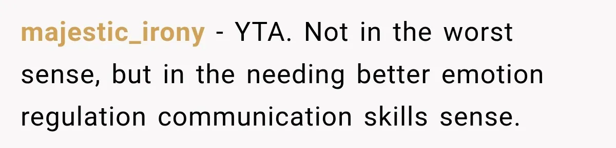majestic_irony − YTA. Not in the worst sense, but in the needing better emotion regulation communication skills sense.