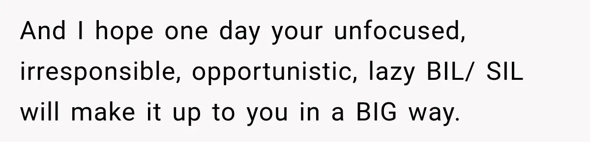 And I hope one day your unfocused, irresponsible, opportunistic, lazy BIL/ SIL will make it up to you in a BIG way.