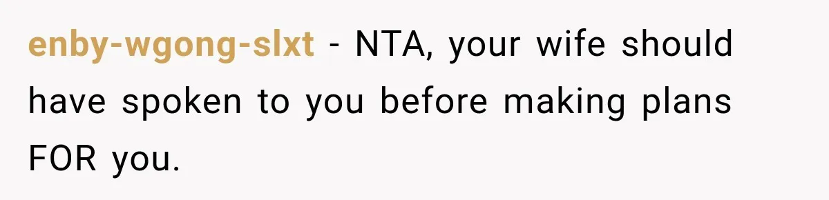Husband Refuses To Repeat Miserable Family Vacation After Wife Breaks Their Agreement enby-wgong-slxt − NTA, your wife should have spoken to you before making plans FOR you.