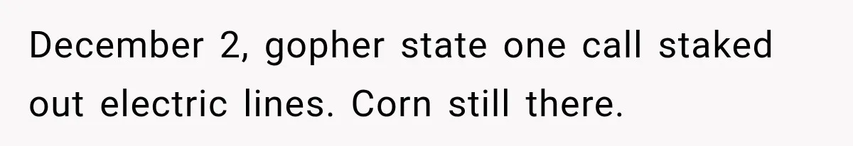 Farmer Ignored His Contract, So His Neighbor Turned His Corn Mistake Into Sweet Revenge December 2, gopher state one call staked out electric lines. Corn still there.