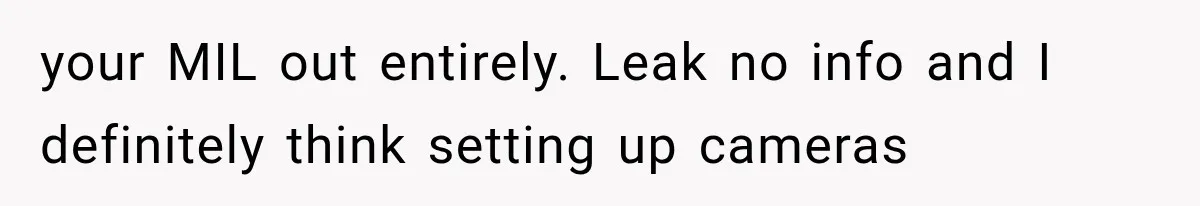 your MIL out entirely. Leak no info and I definitely think setting up cameras