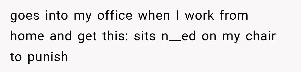 goes into my office when I work from home and get this: sits n__ed on my chair to punish