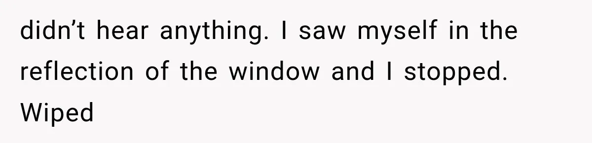 didn’t hear anything. I saw myself in the reflection of the window and I stopped. Wiped