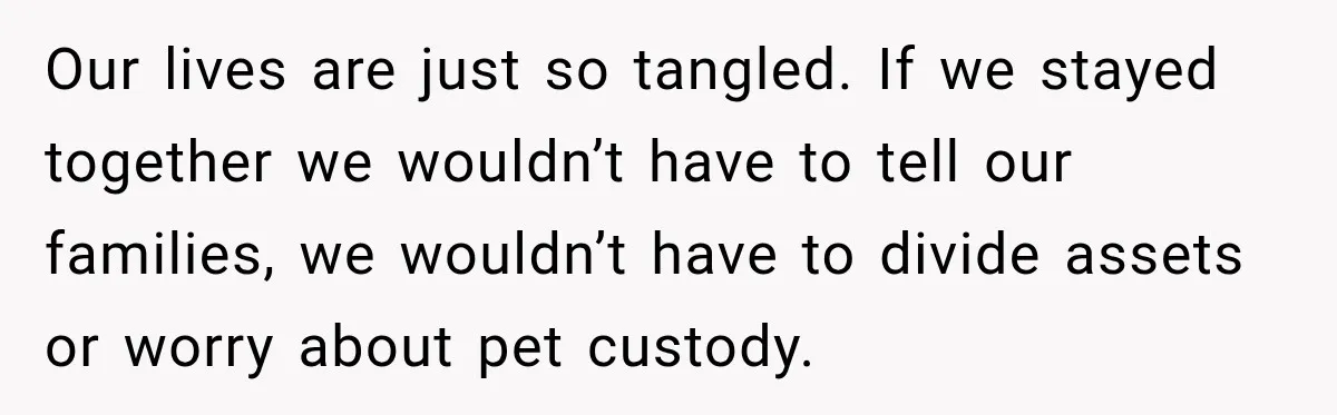 Our lives are just so tangled. If we stayed together we wouldn’t have to tell our families, we wouldn’t have to divide assets or worry about pet custody.