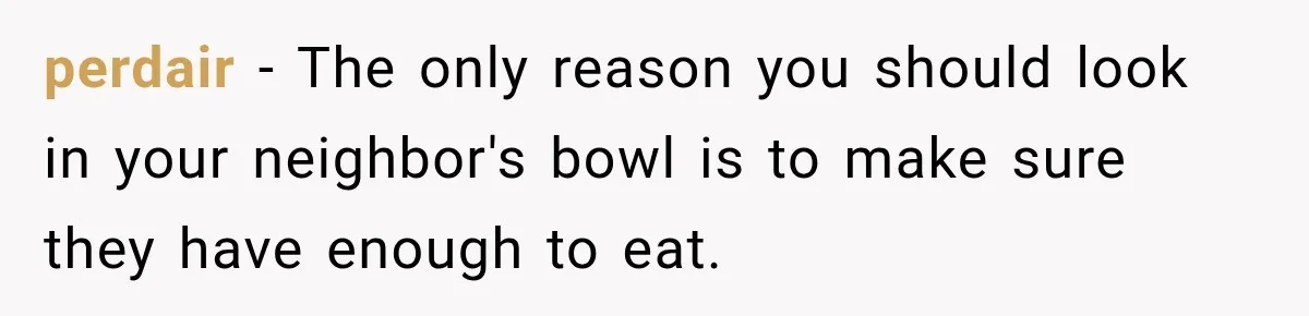 Coworkers Kept Complaining About Her Remote Job Until She Revealed The Heartbreaking Reason perdair − The only reason you should look in your neighbor's bowl is to make sure they have enough to eat.