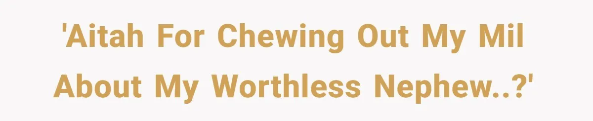 'AITAH for chewing out my MIL about my worthless nephew..?'