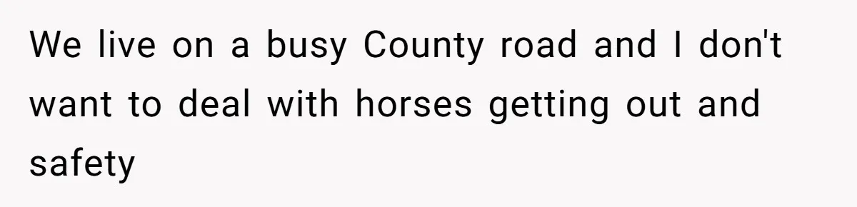 We live on a busy County road and I don't want to deal with horses getting out and safety