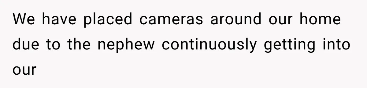 We have placed cameras around our home due to the nephew continuously getting into our