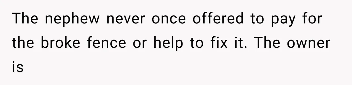 The nephew never once offered to pay for the broke fence or help to fix it. The owner is