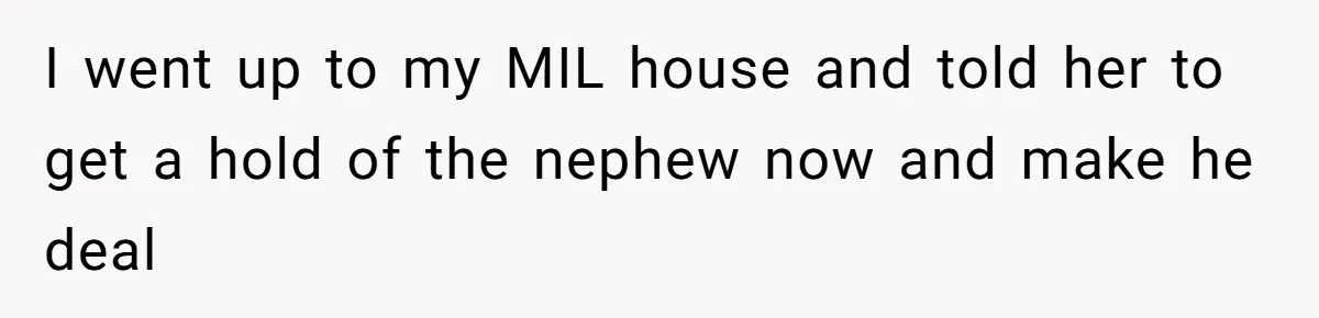 I went up to my MIL house and told her to get a hold of the nephew now and make he deal