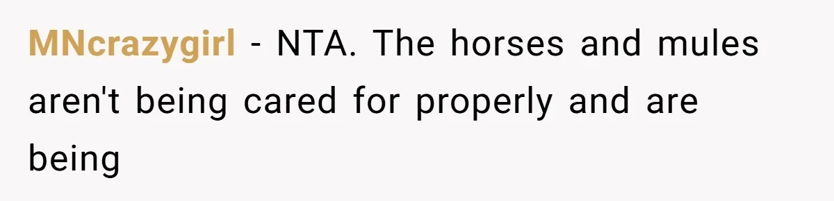 MNcrazygirl − NTA. The horses and mules aren't being cared for properly and are being