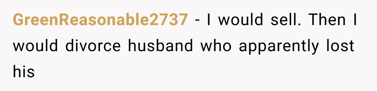 GreenReasonable2737 − I would sell. Then I would divorce husband who apparently lost his