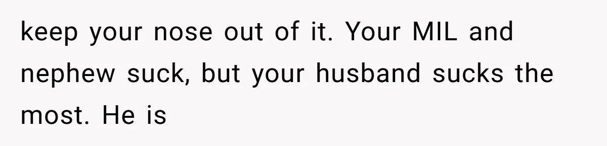 keep your nose out of it. Your MIL and nephew suck, but your husband sucks the most. He is