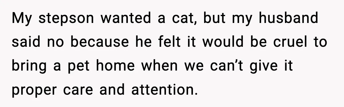 My stepson wanted a cat, but my husband said no because he felt it would be cruel to bring a pet home when we can’t give it proper care and...