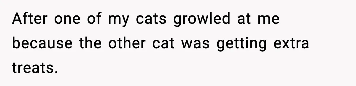 After one of my cats growled at me because the other cat was getting extra treats.