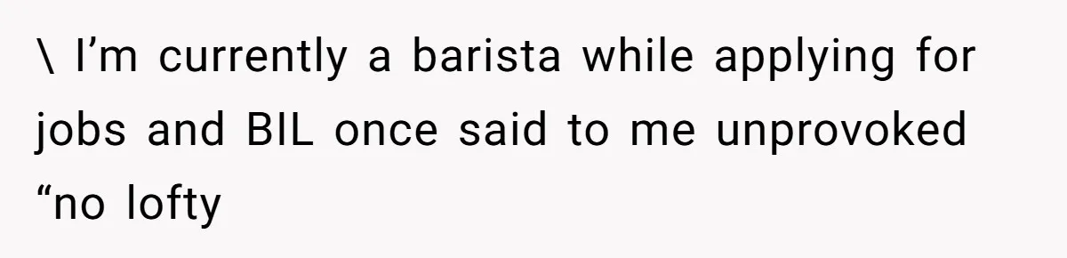 Man Bullies His Sister-in-Law for Years, Then Can’t Believe She Walks Out of the Family Trip \ I’m currently a barista while applying for jobs and BIL once said to me unprovoked “no lofty