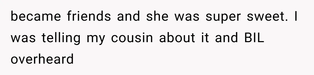 Man Bullies His Sister-in-Law for Years, Then Can’t Believe She Walks Out of the Family Trip became friends and she was super sweet. I was telling my cousin about it and BIL overheard