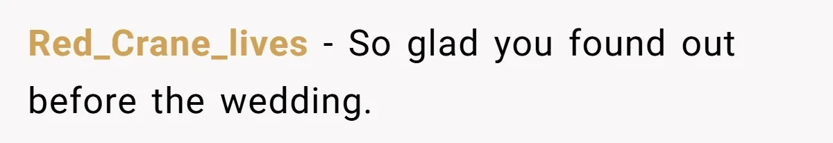 Red_Crane_lives − So glad you found out before the wedding.