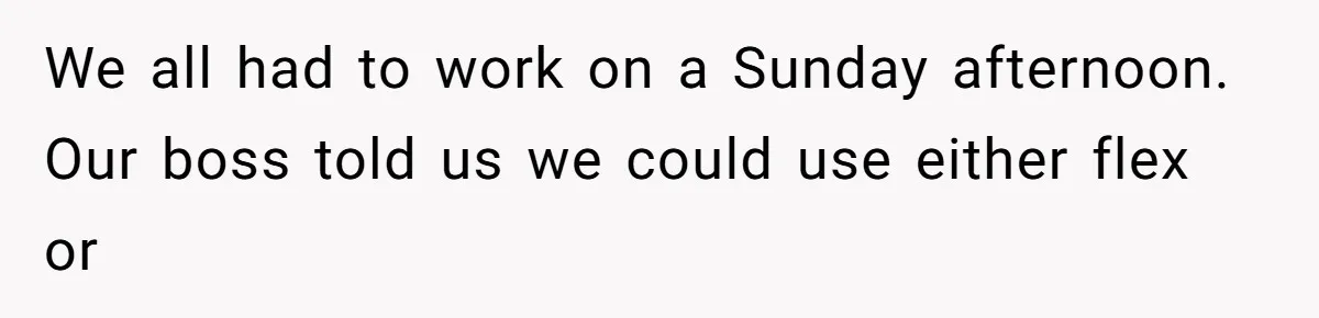 We all had to work on a Sunday afternoon. Our boss told us we could use either flex or