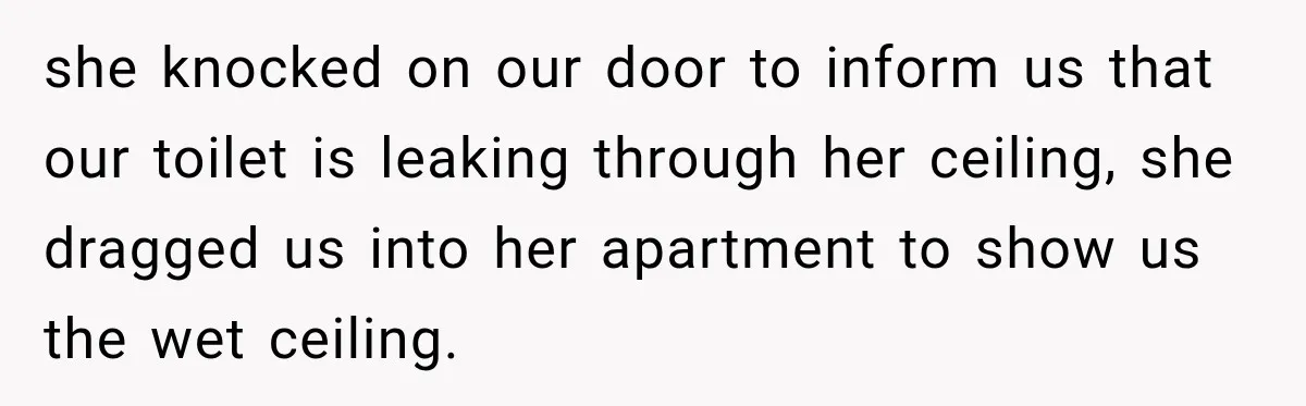 Nosy Neighbor Wouldn’t Stop Complaining, So He Fought Back With Endless Small Talk she knocked on our door to inform us that our toilet is leaking through her ceiling, she dragged us into her apartment to show us the wet ceiling.