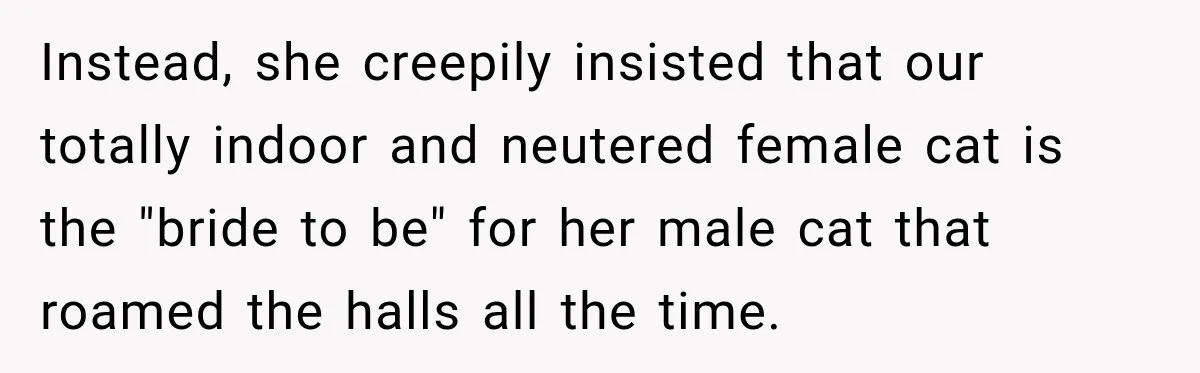 Nosy Neighbor Wouldn’t Stop Complaining, So He Fought Back With Endless Small Talk Instead, she creepily insisted that our totally indoor and neutered female cat is the "bride to be" for her male cat that roamed the halls all the time.