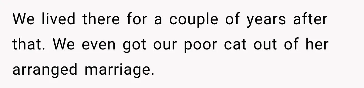 Nosy Neighbor Wouldn’t Stop Complaining, So He Fought Back With Endless Small Talk We lived there for a couple of years after that. We even got our poor cat out of her arranged marriage.