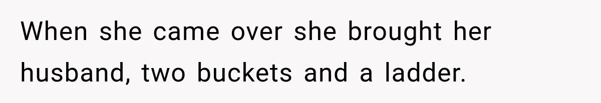 When she came over she brought her husband, two buckets and a ladder.