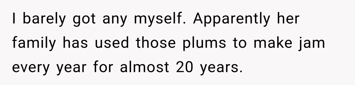 I barely got any myself. Apparently her family has used those plums to make jam every year for almost 20 years.