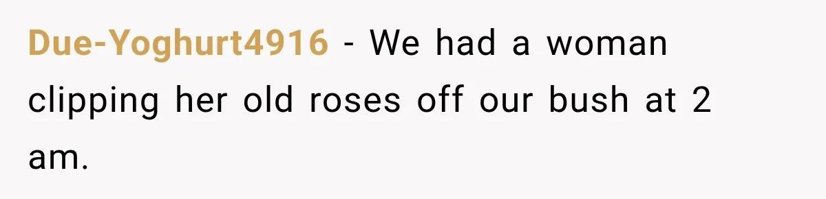 Due-Yoghurt4916 − We had a woman clipping her old roses off our bush at 2 am.