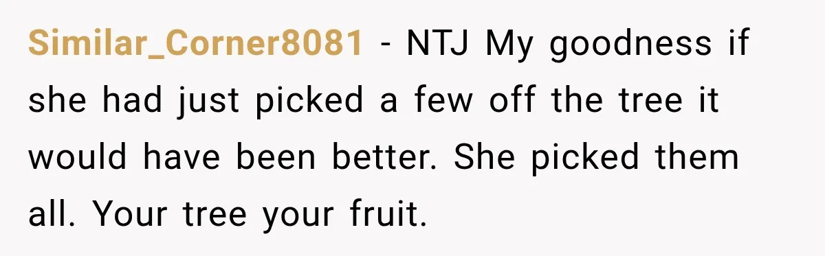 Similar_Corner8081 − NTJ My goodness if she had just picked a few off the tree it would have been better. She picked them all. Your tree your fruit.
