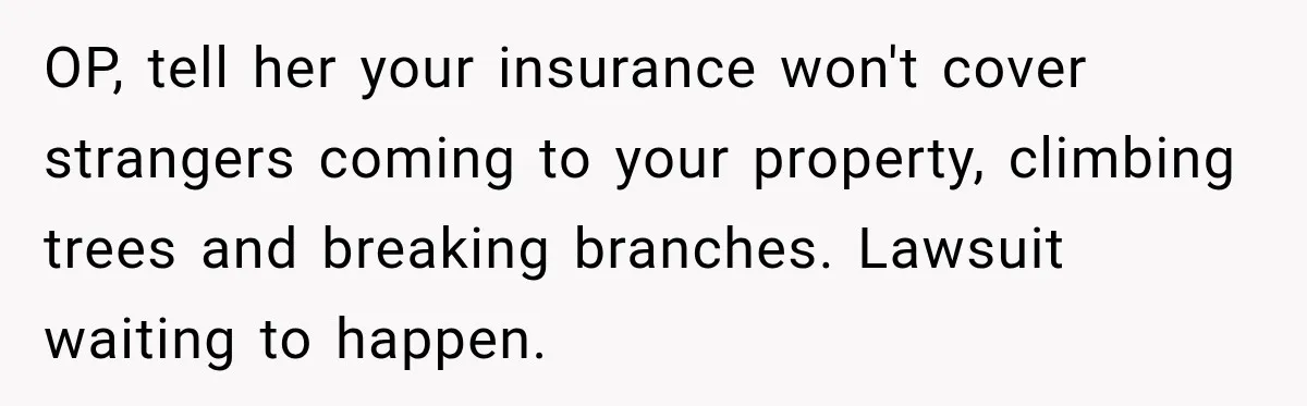 OP, tell her your insurance won't cover strangers coming to your property, climbing trees and breaking branches. Lawsuit waiting to happen.