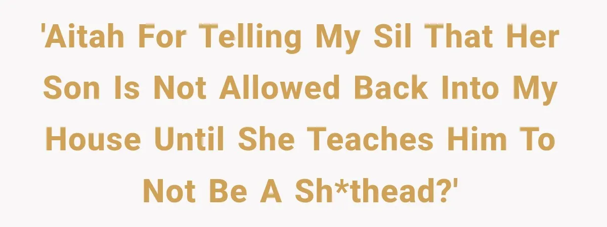 'AITAH for telling my SiL that her son is not allowed back into my house until she teaches him to not be a sh*thead?'