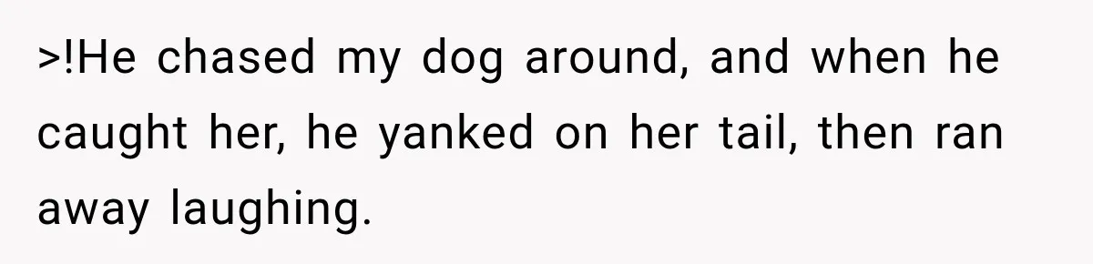 >!He chased my dog around, and when he caught her, he yanked on her tail, then ran away laughing.