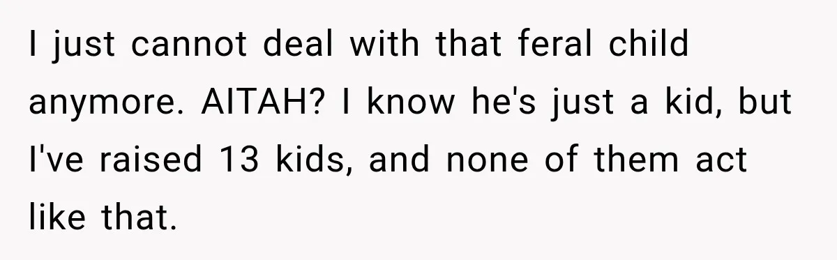 I just cannot deal with that feral child anymore. AITAH? I know he's just a kid, but I've raised 13 kids, and none of them act like that.