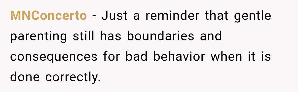 MNConcerto − Just a reminder that gentle parenting still has boundaries and consequences for bad behavior when it is done correctly.