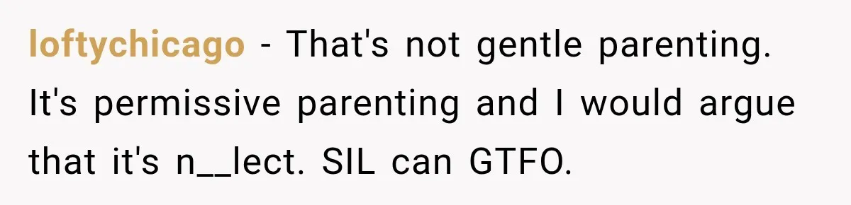 loftychicago − That's not gentle parenting. It's permissive parenting and I would argue that it's n__lect. SIL can GTFO.