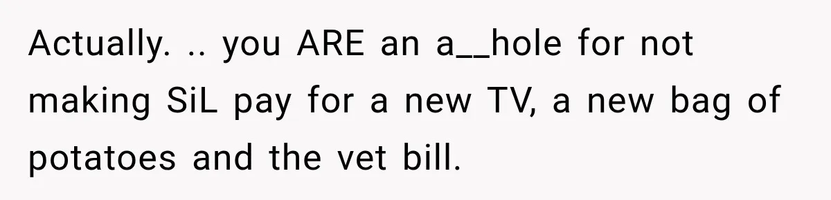 Actually. .. you ARE an a__hole for not making SiL pay for a new TV, a new bag of potatoes and the vet bill.