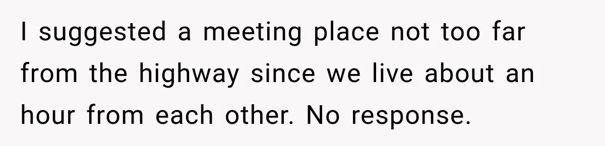 I suggested a meeting place not too far from the highway since we live about an hour from each other. No response.