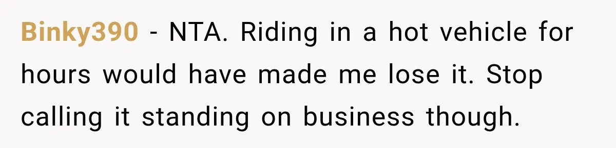 Driver Refused To Turn On The AC, Three Friends Walked Away Instead Binky390 − NTA. Riding in a hot vehicle for hours would have made me lose it. Stop calling it standing on business though.