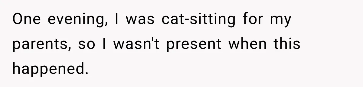 One evening, I was cat-sitting for my parents, so I wasn't present when this happened.