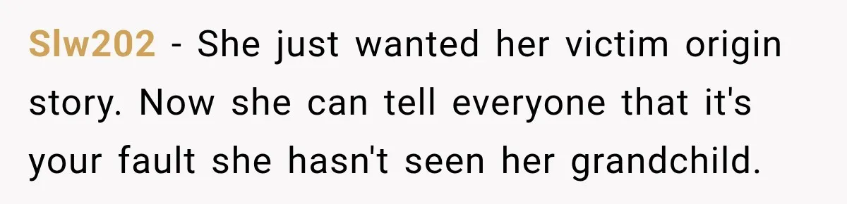 Slw202 − She just wanted her victim origin story. Now she can tell everyone that it's your fault she hasn't seen her grandchild.