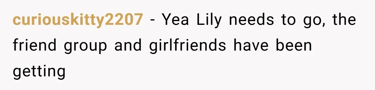 She Said His Girlfriend’s Body “Couldn’t Pull Off” That Dress, He Refused to Stay Quiet curiouskitty2207 − Yea Lily needs to go, the friend group and girlfriends have been getting
