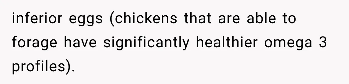 Mom Kept Selling Her Eggs, Then She Emptied the Fridge Before Breakfast Without Asking inferior eggs (chickens that are able to forage have significantly healthier omega 3 profiles).