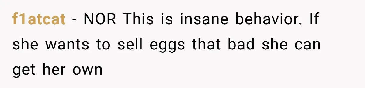 Mom Kept Selling Her Eggs, Then She Emptied the Fridge Before Breakfast Without Asking f1atcat − NOR This is insane behavior. If she wants to sell eggs that bad she can get her own