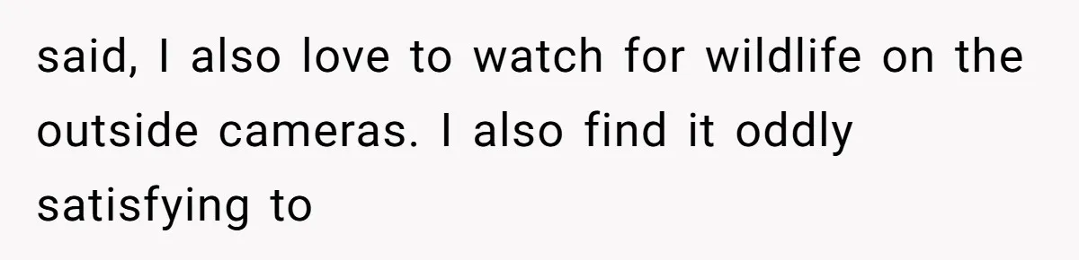 Man Comes Home to Share His Terminal Diagnosis, Finds His Wife in Bed With His Business Partner Instead said, I also love to watch for wildlife on the outside cameras. I also find it oddly satisfying to