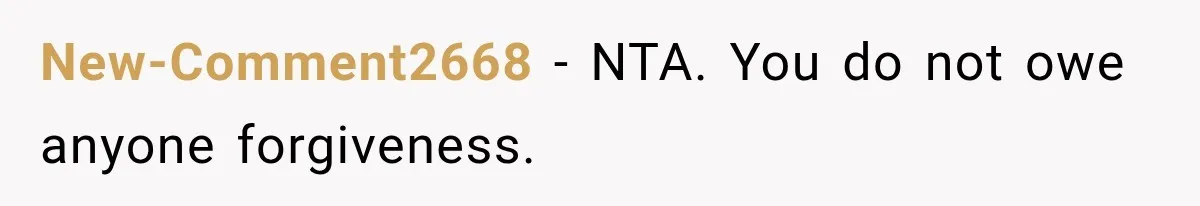 Stepdaughter Returned After 17 Years, Then Began Calling 12 Times A Day New-Comment2668 − NTA. You do not owe anyone forgiveness.